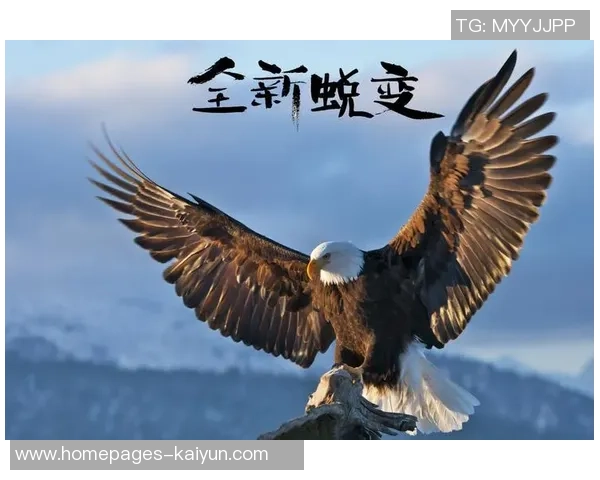 史鸿飞的传奇人生与奋斗历程：从平凡到卓越的蜕变之路